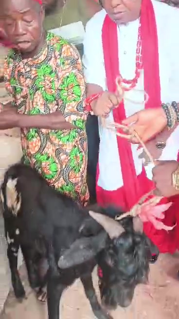 Ichie Felix Onyeanusi during the Isseke New Yam Festival